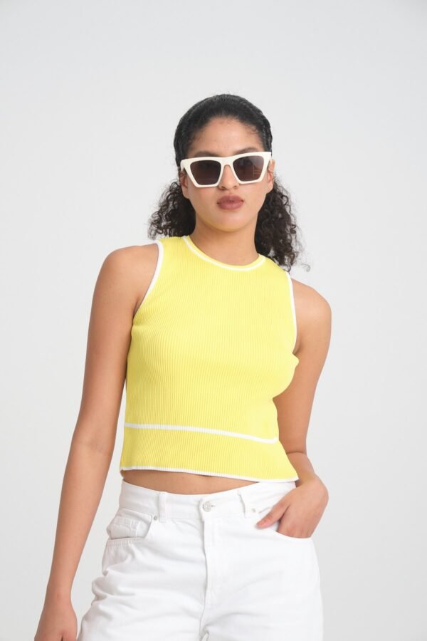 İnce Çizgi Detaylı Yazlık Triko Crop - Görsel 4